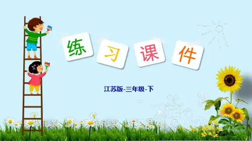 《两位数乘两位数》PPT—人教版小学数学两位数乘两位数精品课件1(共13张PPT)