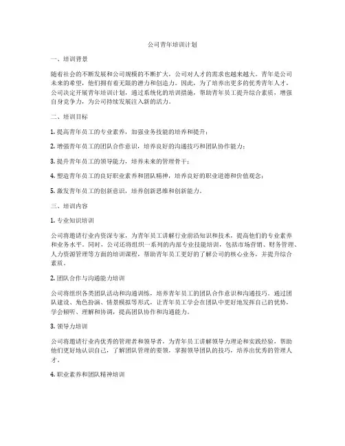 公司青年培训计划