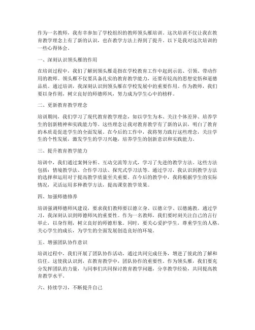 教师领头雁培训心得体会