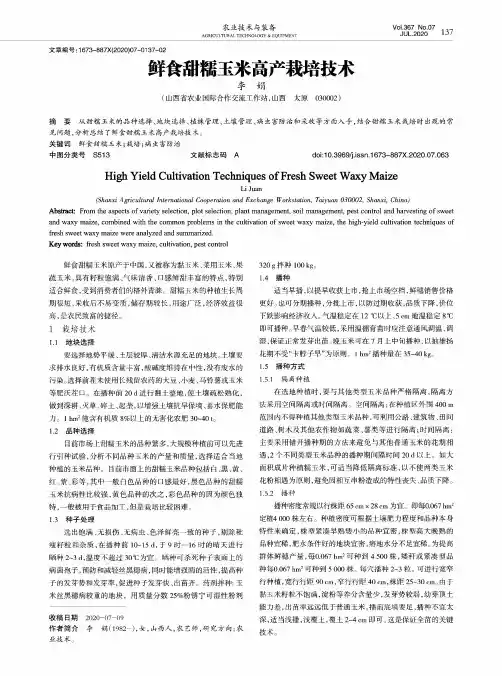 鲜食甜糯玉米高产栽培技术