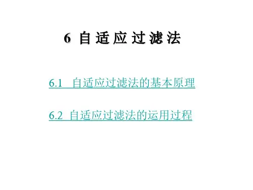 自适应过滤法