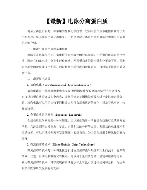 【最新】电泳分离蛋白质