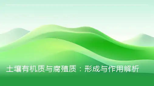 土壤有机质与腐殖质：了解土壤中有机质和腐殖质的形成与作用
