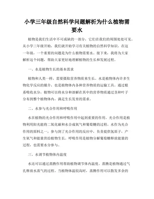 小学三年级自然科学问题解析为什么植物需要水