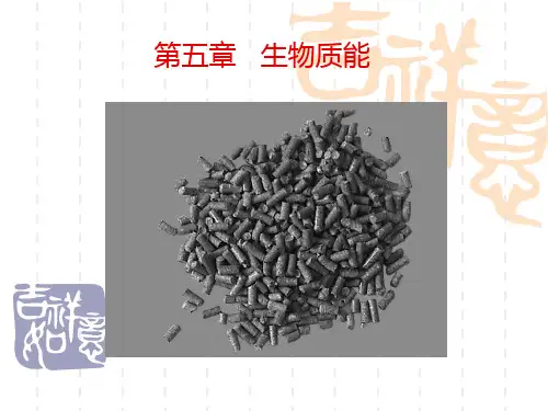 第五章   生物质能