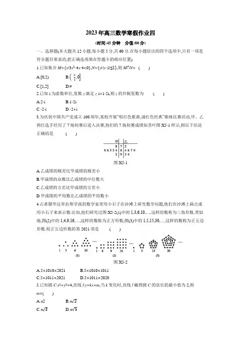 2023年高三数学寒假作业04(Word含答案解析)