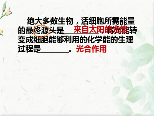 高中必修一生物能量之源ppt