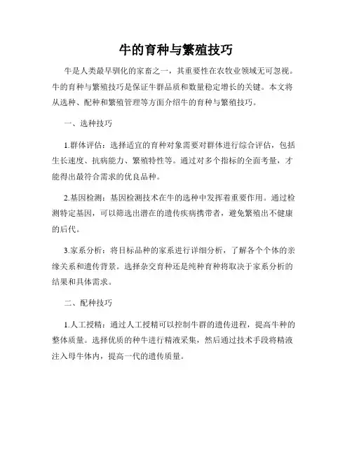 牛的育种与繁殖技巧