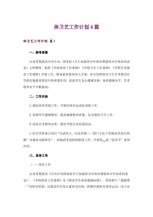 体卫艺工作计划4篇