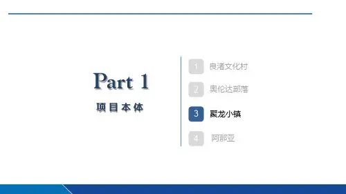 福建惠安聚龙小镇案例研究分析