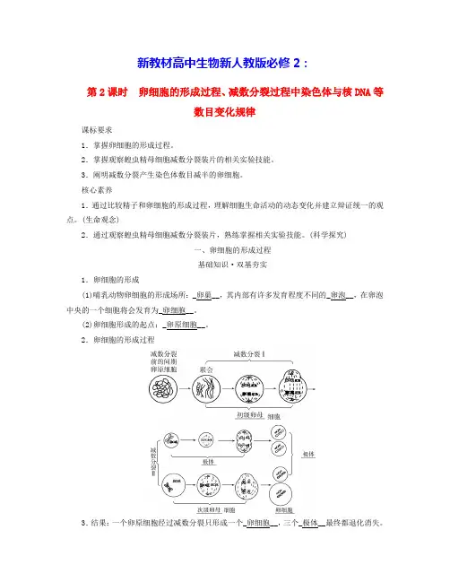 新教材高中生物第2章减数分裂过程中染色体与核DNA等数目变化规律学案新人教版必修2(含答案)