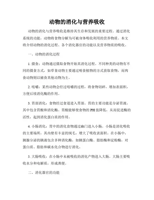动物的消化与营养吸收