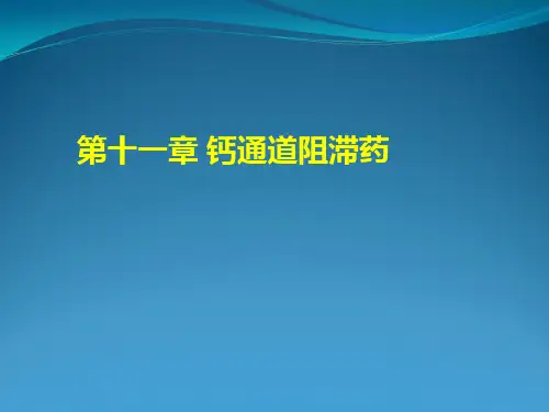 钙通道阻滞药-11-20(完整)