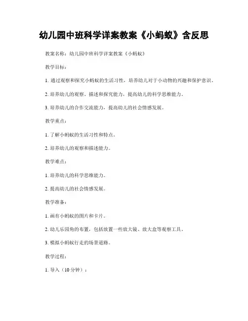 幼儿园中班科学详案教案《小蚂蚁》含反思
