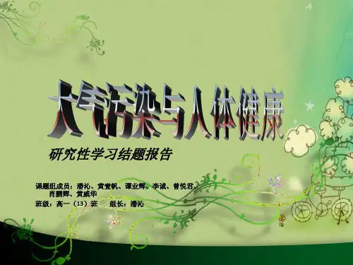 大气污染与人体健康(结题报告)