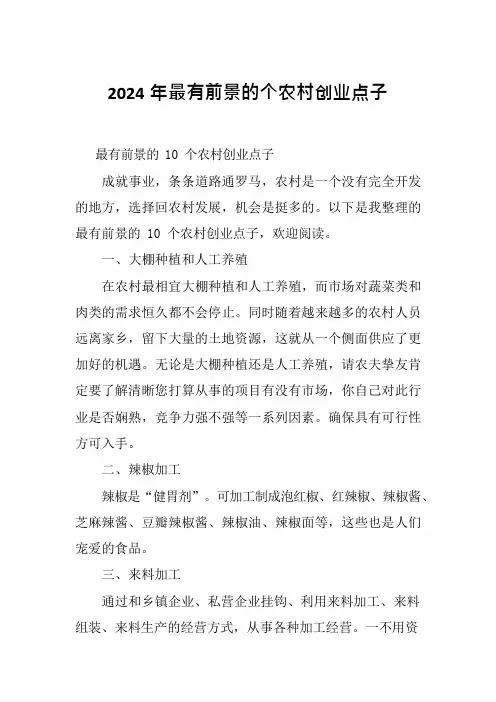 2024年最有前景的个农村创业点子