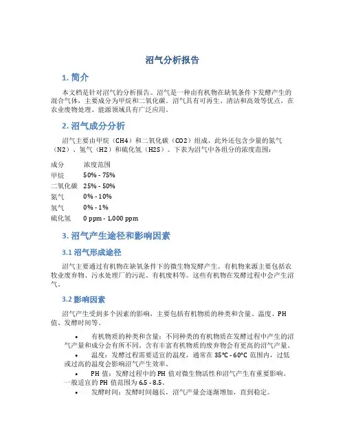 沼气分析报告