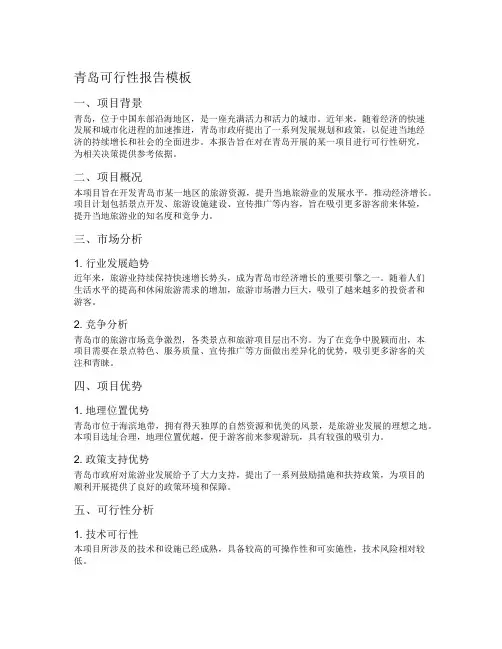 青岛可行性报告模板