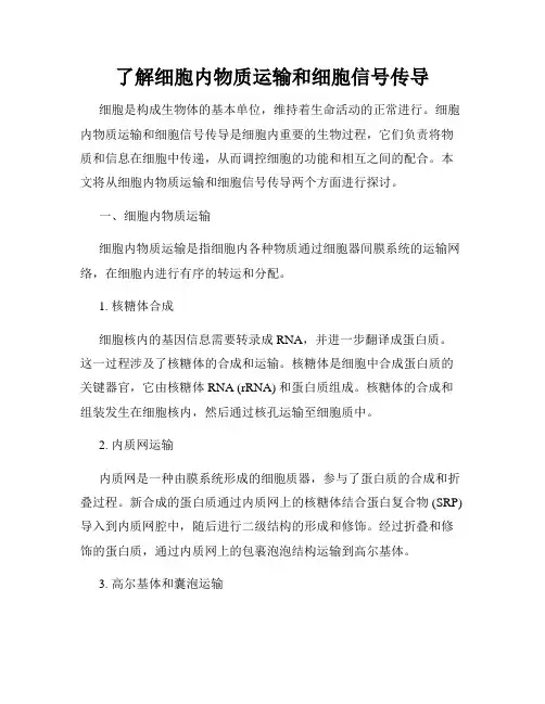 了解细胞内物质运输和细胞信号传导