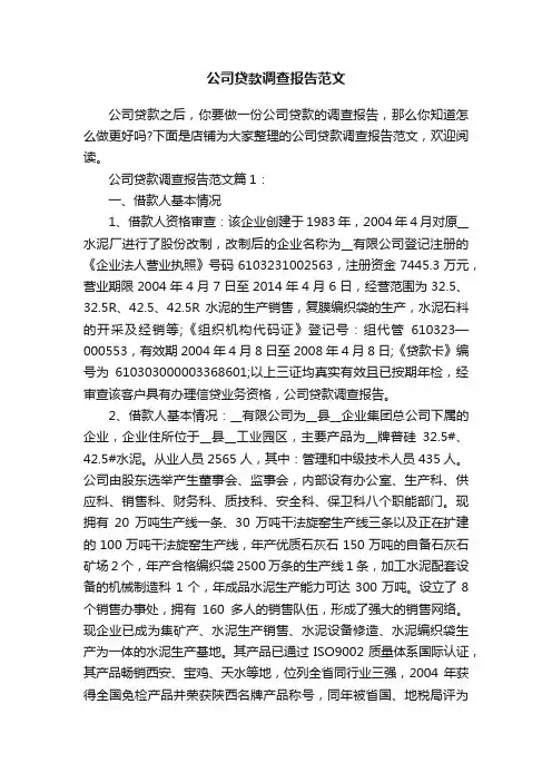 公司贷款调查报告范文