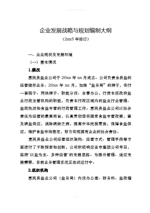 企业发展战略与规划编制大纲(1)