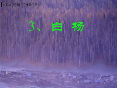 人教版小学语文五年级下册3_白杨_PPT课件