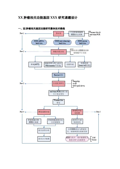 肿瘤科研项目方案设计