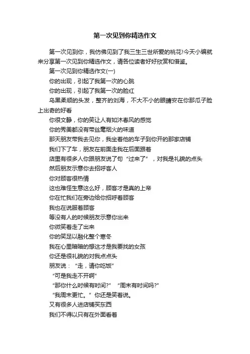 第一次见到你精选作文