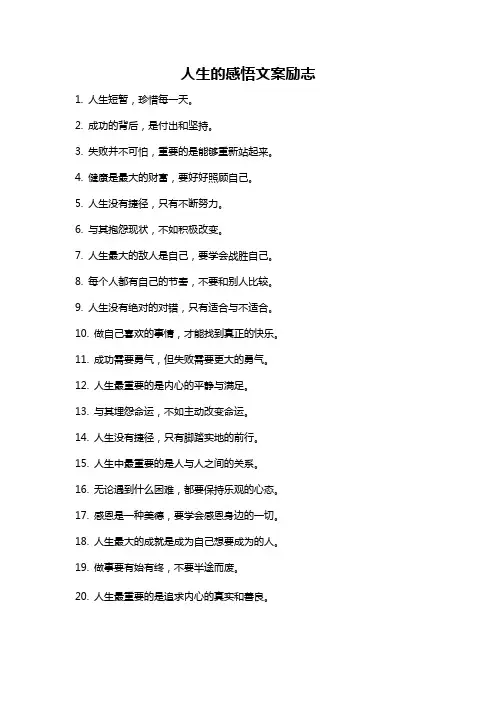 人生的感悟文案励志