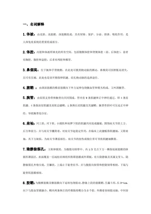 局部解剖学重点