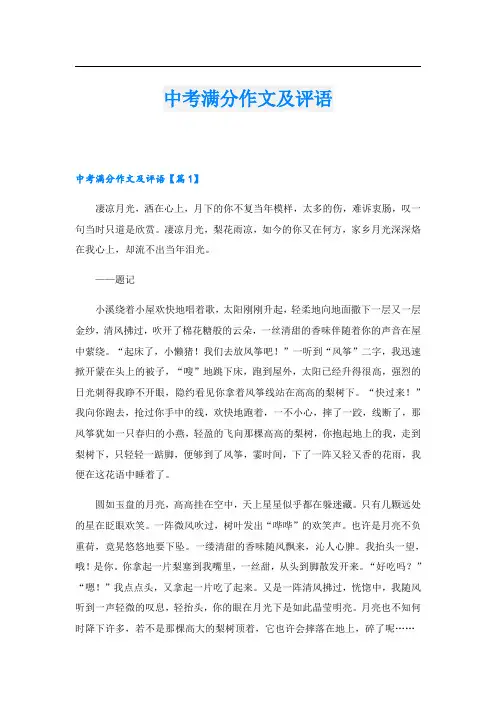 中考满分作文及评语