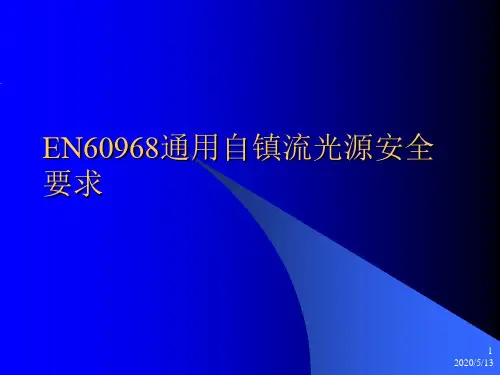 EN60968