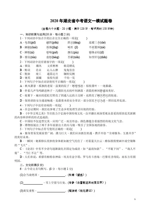 2020年湖北省中考语文一模试题卷附答案详析