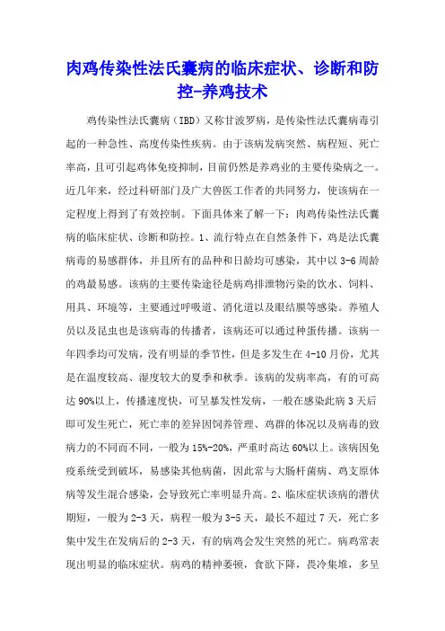 肉鸡传染性法氏囊病的临床症状、诊断和防控 - 养鸡技术