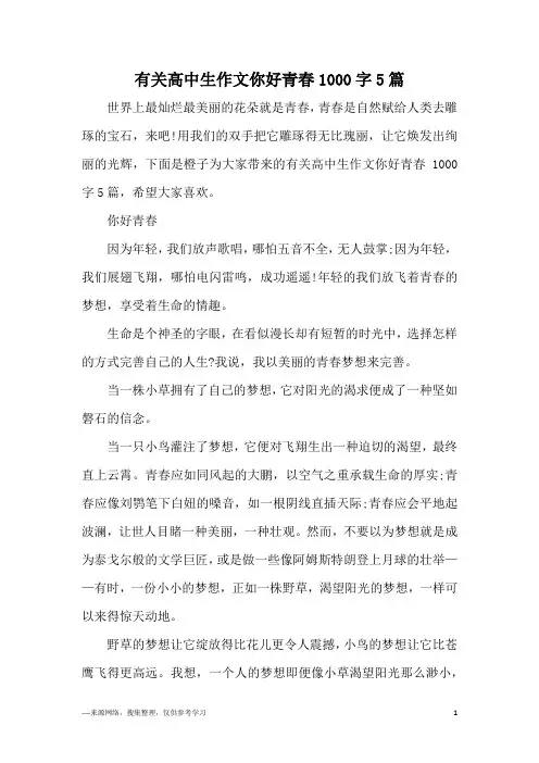 有关高中生作文你好青春1000字5篇