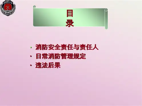 新消防法培训(共9张PPT)