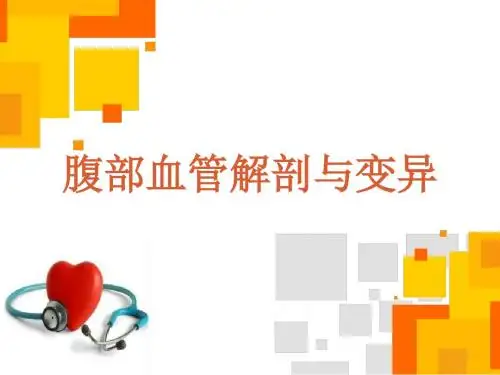 腹部血管解剖与变异医学PPT课件