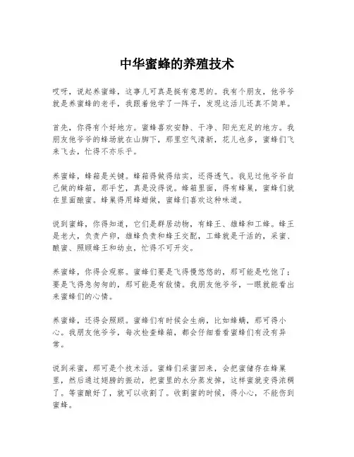 中华蜜蜂的养殖技术