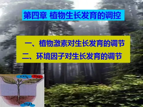 生物课件第四章 植物生长发育的调控PPT.ppt