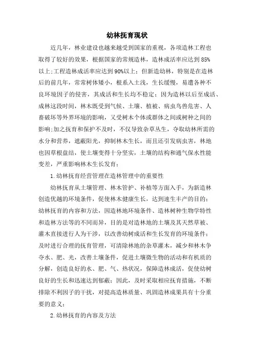 幼林抚育现状