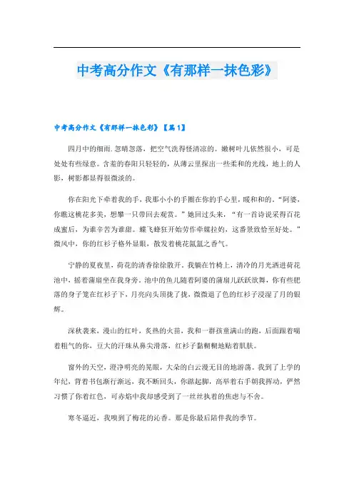 中考高分作文《有那样一抹色彩》