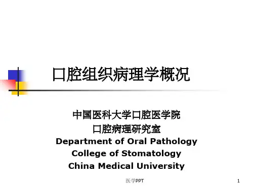 口腔组织病理学(1)