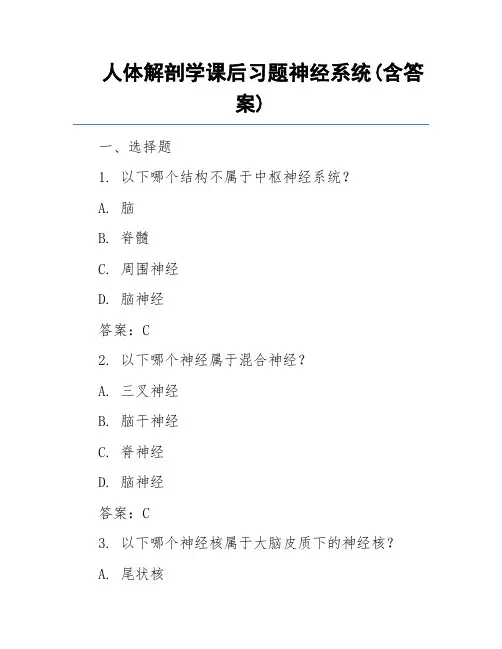 人体解剖学课后习题神经系统(含答案)