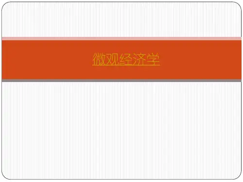 大学微观经济学经典课件(全套)