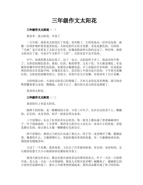 三年级作文太阳花
