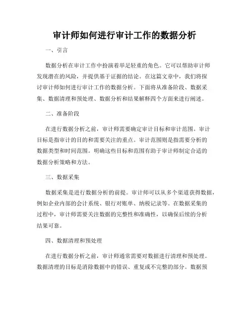 审计师如何进行审计工作的数据分析