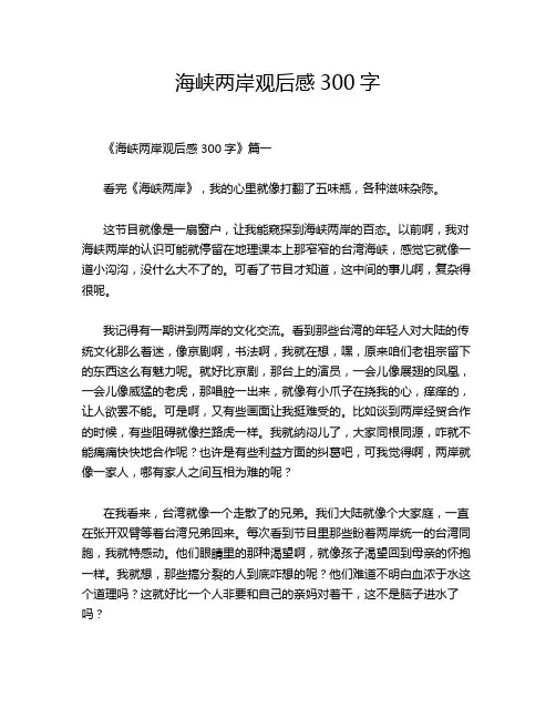 海峡两岸观后感300字