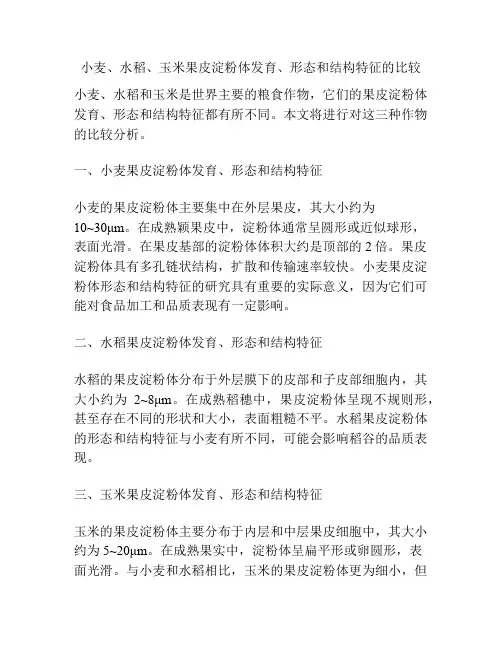 小麦、水稻、玉米果皮淀粉体发育、形态和结构特征的比较