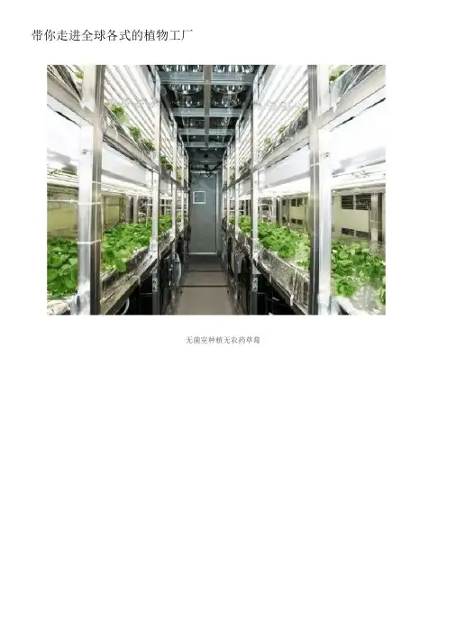 带你走进全球各式的植物工厂