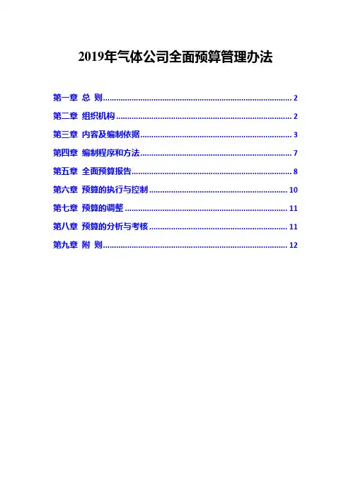 2019年气体公司全面预算管理办法